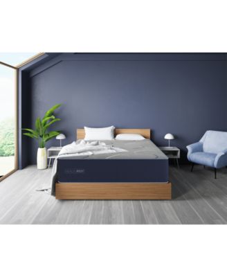Restonic - HealthRest Bliss 13" Plush Mattress- Twin XL