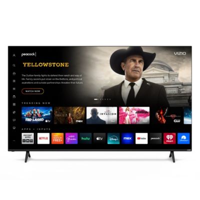 Vizio