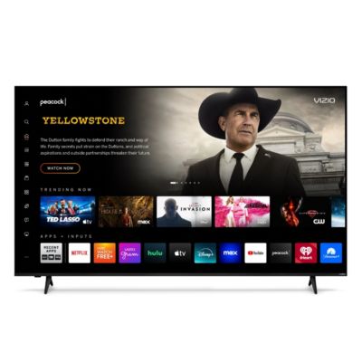 Vizio